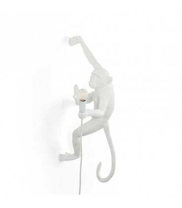 Monkey Hanging Right