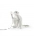 Monkey Sitting