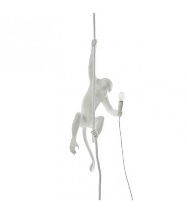Monkey With Rope