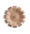 Ciclo Oak