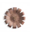 Ciclo Walnut