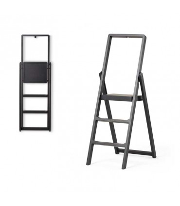 Step Ladder
