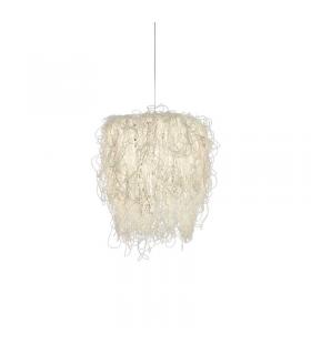 Caos Led