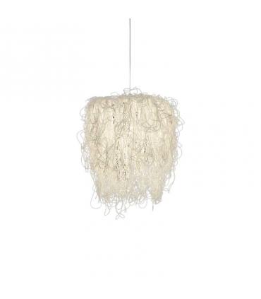 Caos Led