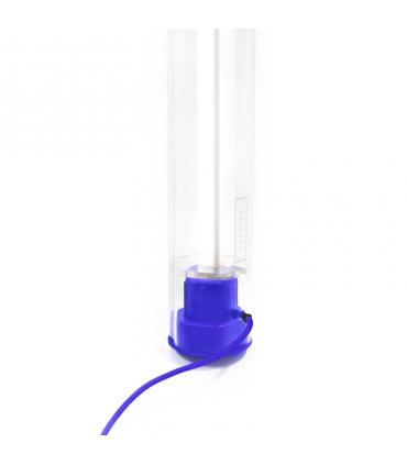Bic Lamp