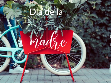 ¿Qué le vas a regalar este año a tu madre? Decoración, es lo que yo le regalo cada año
