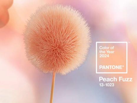 Pantone 2024, Peach Fuzz