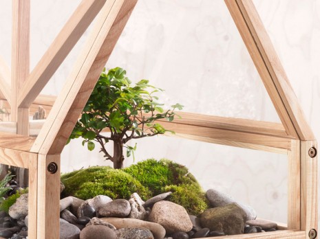 Plantas y flores decorativas para triunfar con una decoración verde y natural